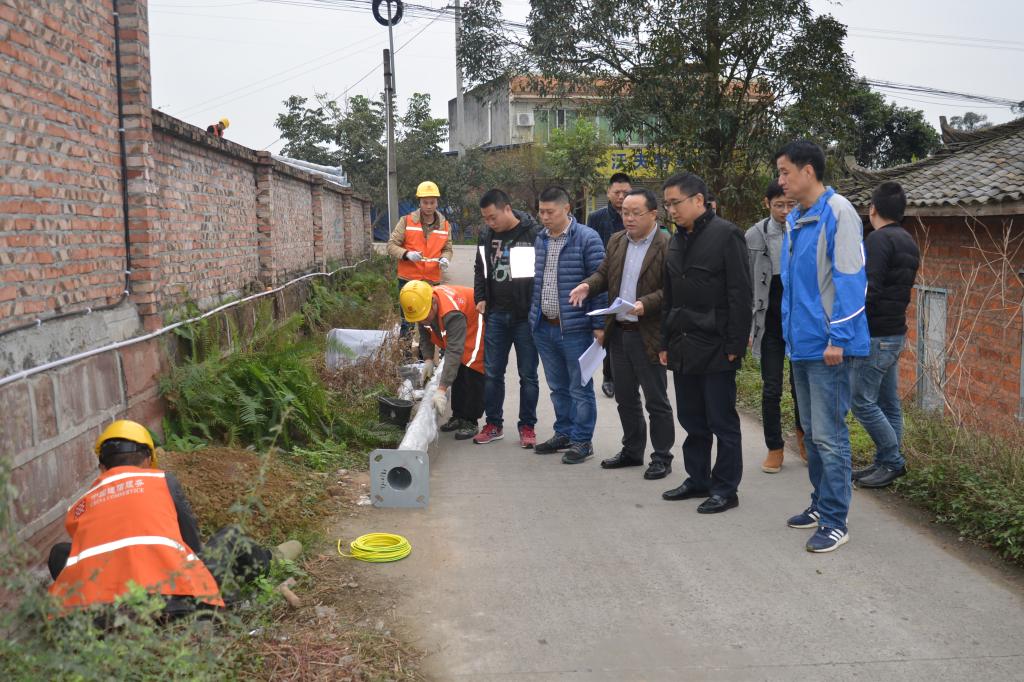 县委副书记李祝才在石河村“雪亮工程”施工现场