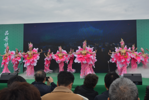 舞蹈《花开时节》