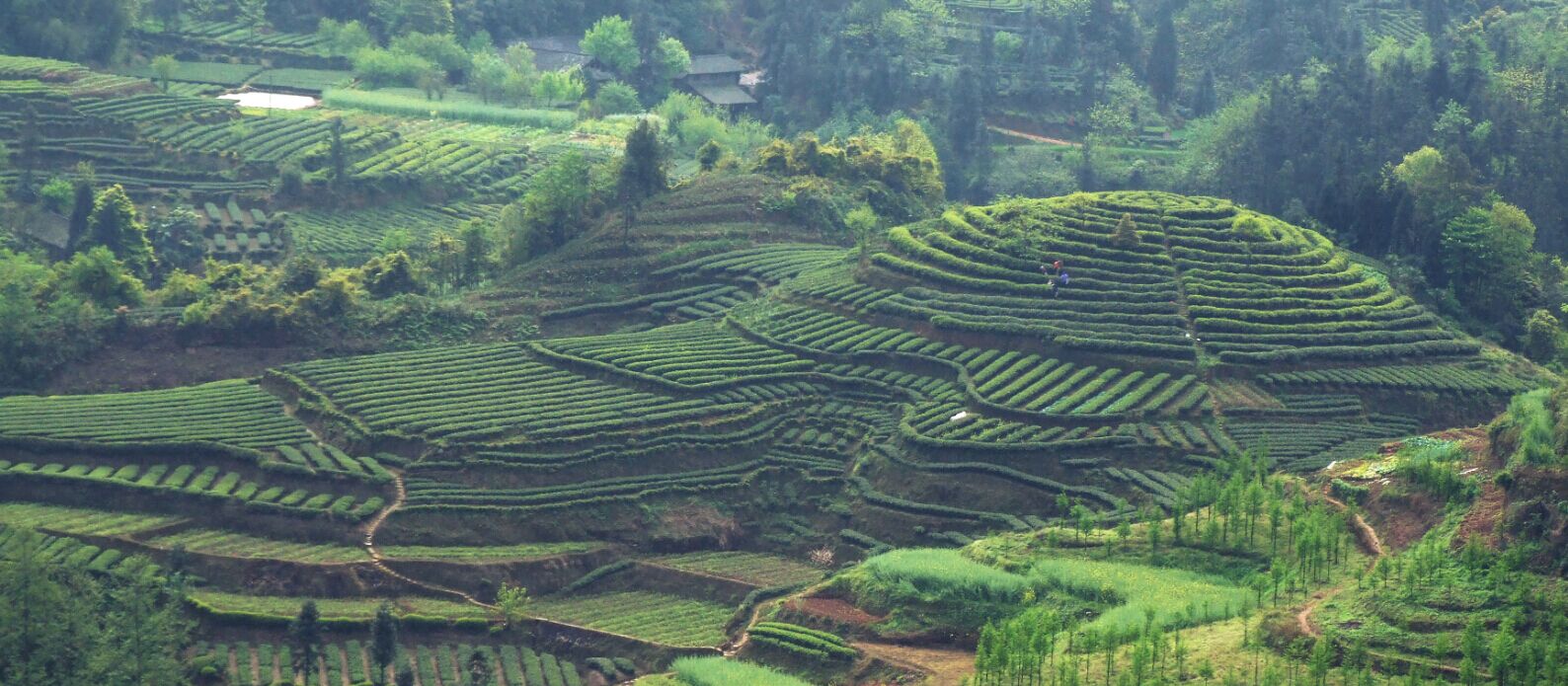 醉美丹棱摄影展